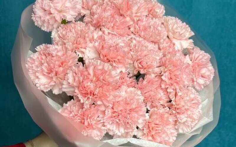 №23 Нежный и стойкий букет из розовых диантусов 21 шт