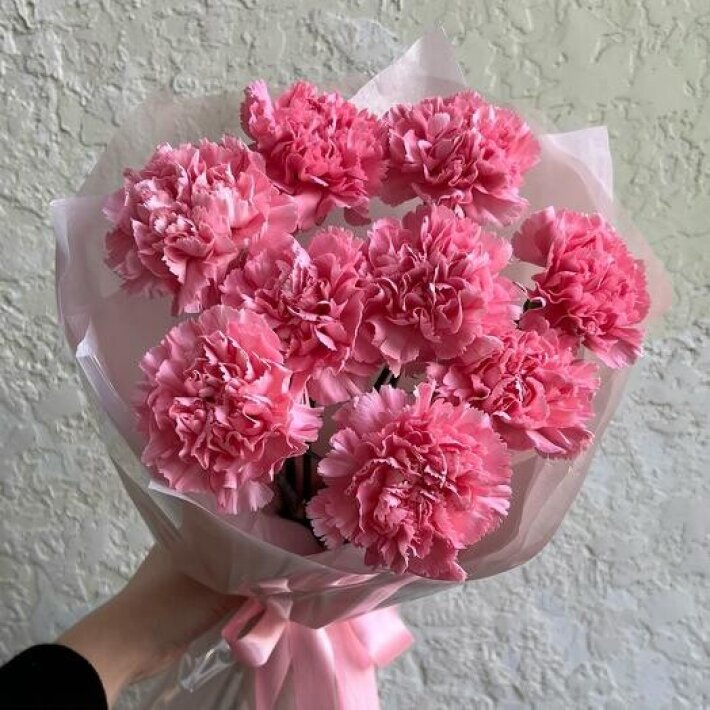 №24 Монобукет из 9 розовых диантусов