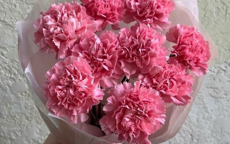 №24 Монобукет из 9 розовых диантусов