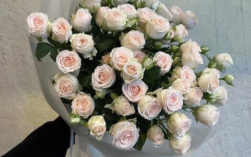 №19 Букет из 9 кустовых роз Софи