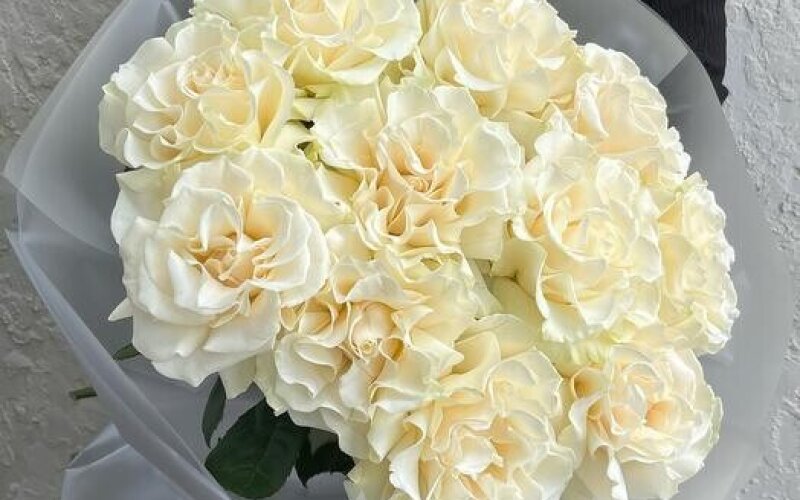 №16 Нежный большой монобукет из 11 белых французских роз