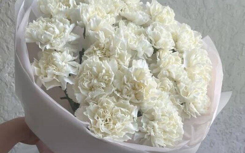 №22 Монобукет из нежных воздушных белых диантусов