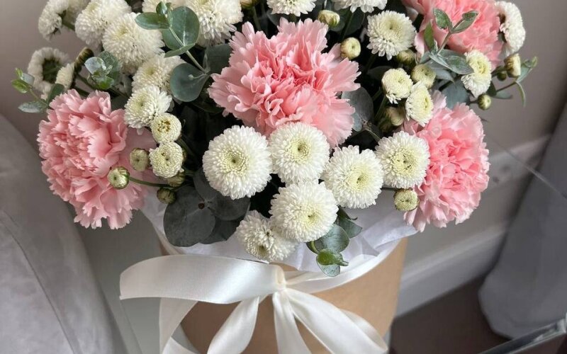 Коробка с ньютоном и диантусами