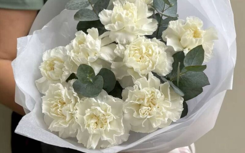 Букет из диантусов с эвкалиптом