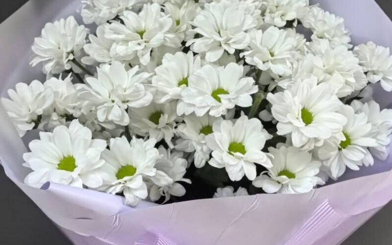 Букет из 7 ромашек в упаковке