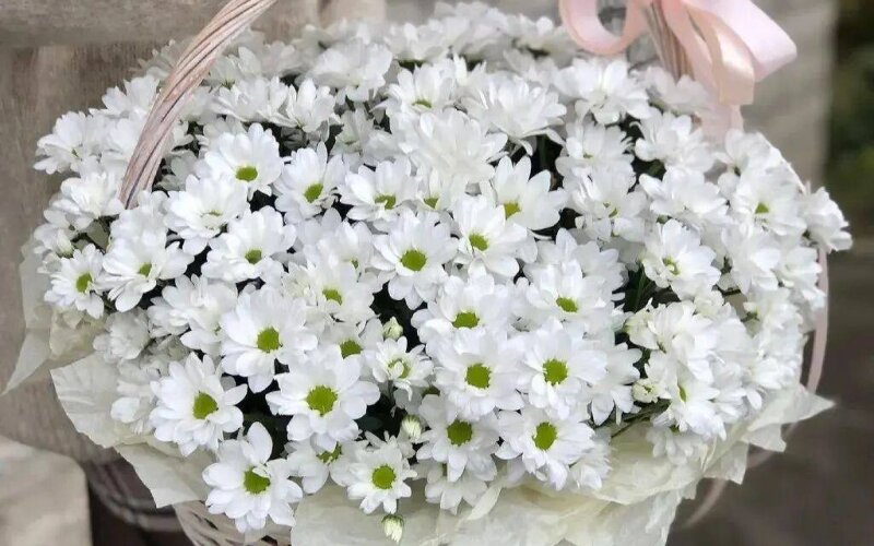 Корзина с ромашками