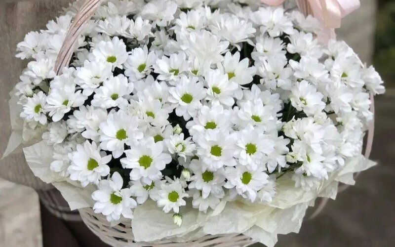 Корзина с ромашками