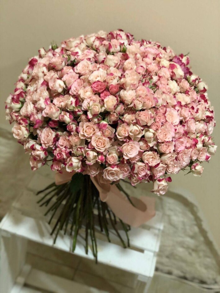 101 кустовая роза