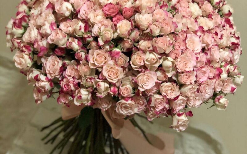 101 кустовая роза