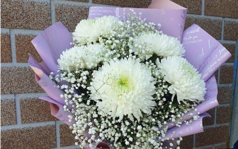 Хризантема с гипсофилом