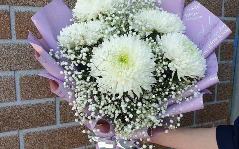 Хризантема с гипсофилом