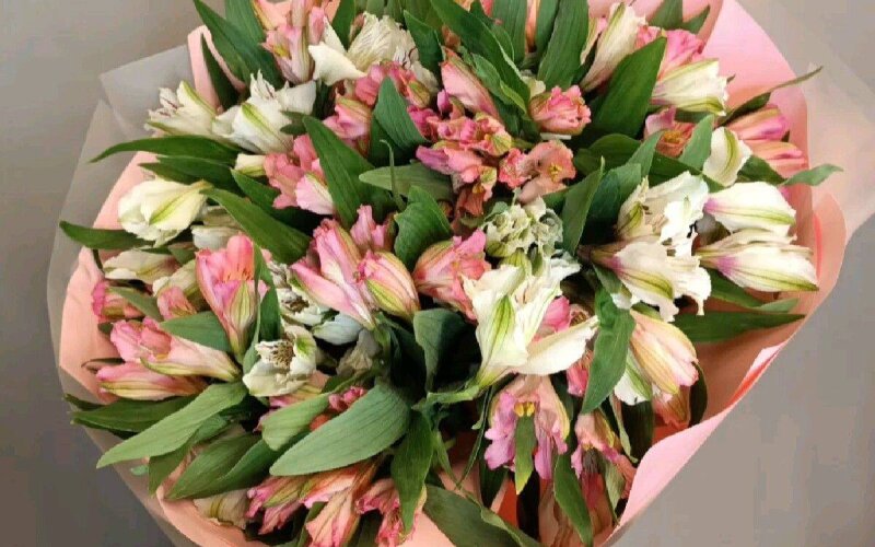 Моно букет из альстромерий