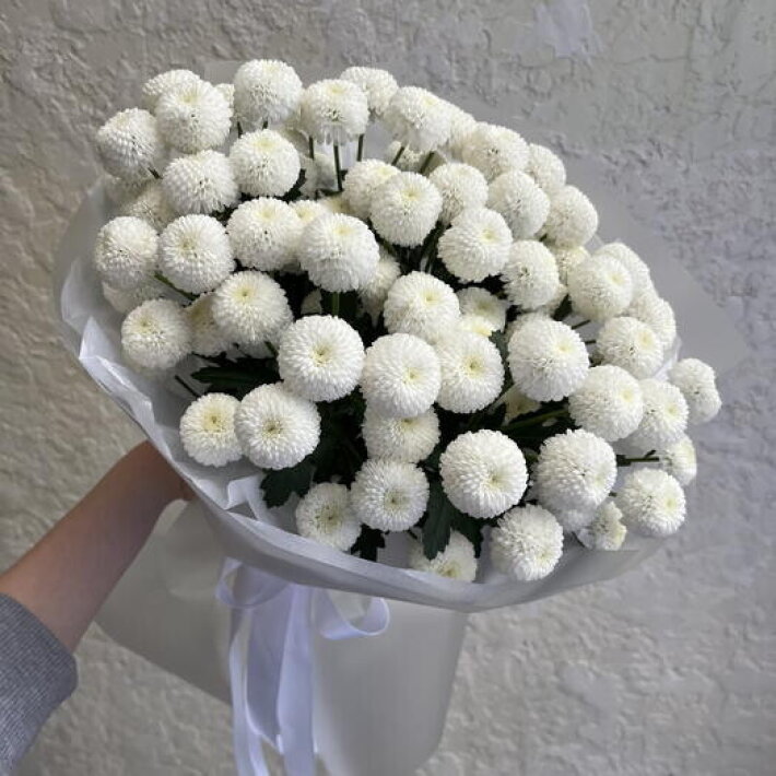 Нежный воздушный монобукет из 9 стойких хризантем Ньютон