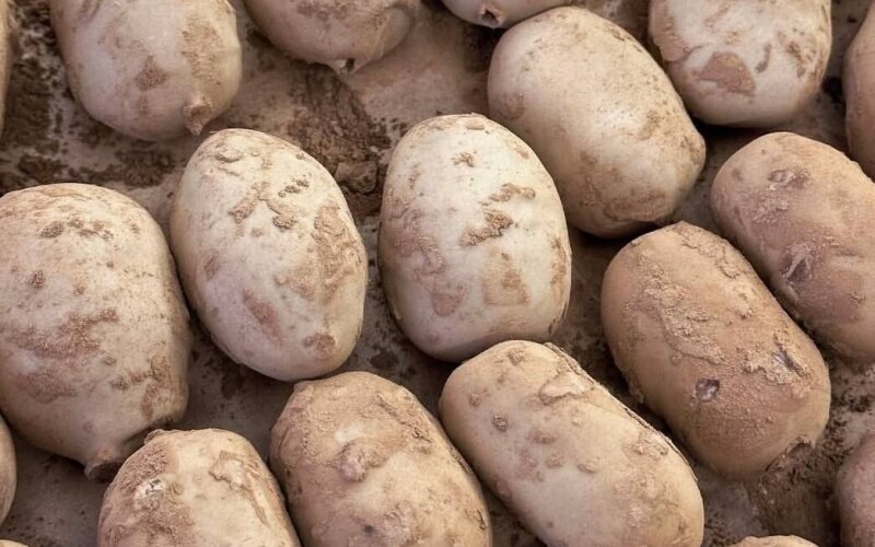 Пирожное «Картошка в мешочке»