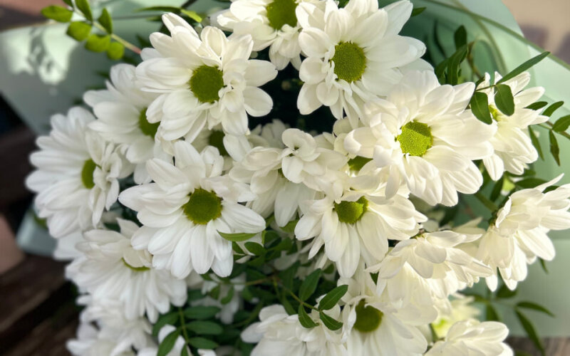 «Ментоловый» букет из ромашек