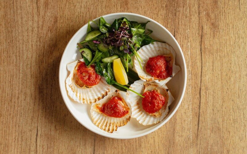 Гребешок в ракушке под томатным соусом со свежим салатом