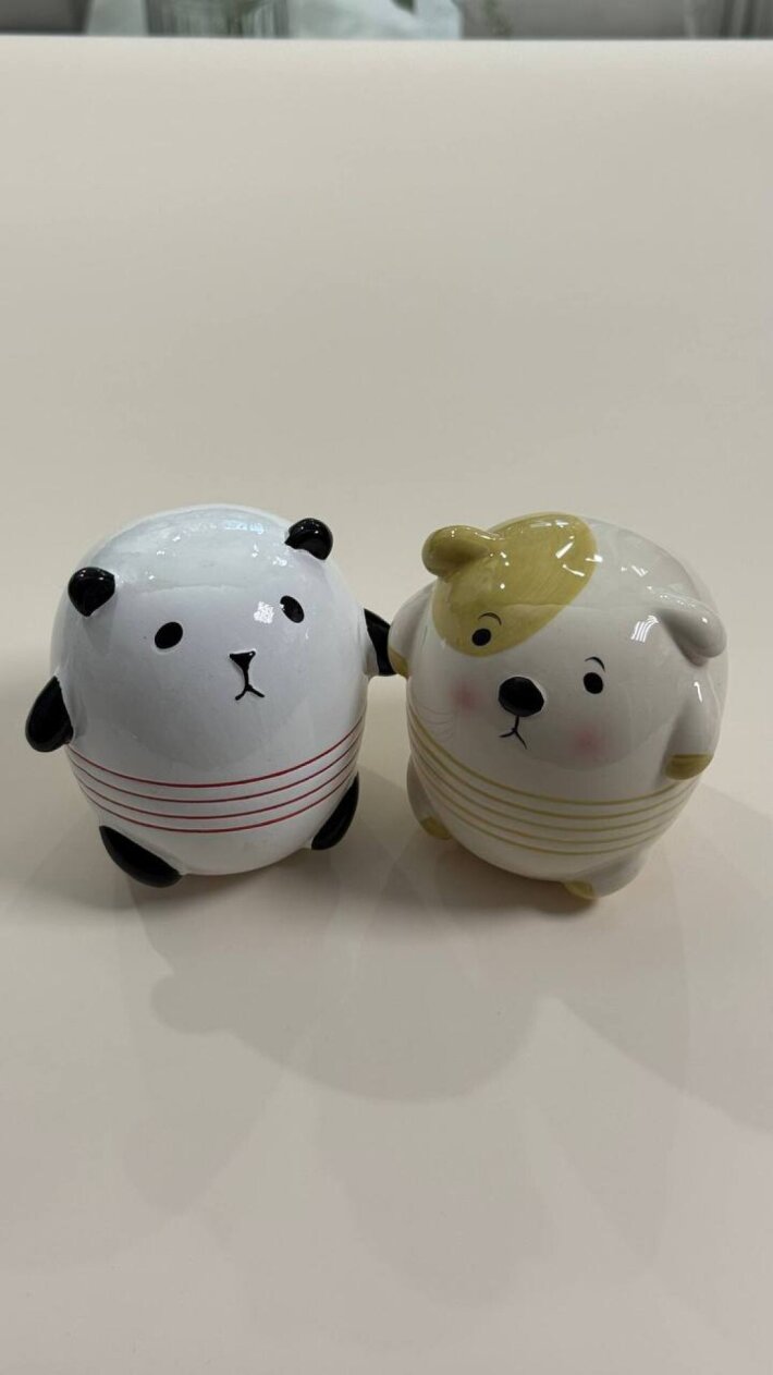 Копилка Пара