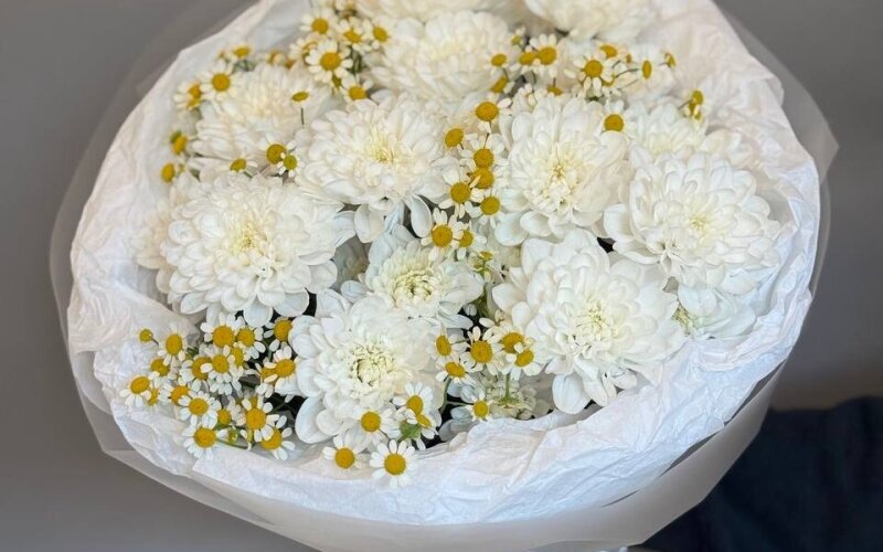 Ромашка с танацетумом