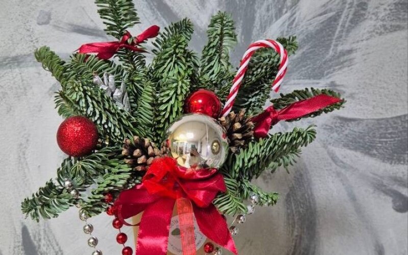 Стаканчик с нобилисом «Комплимент мини»