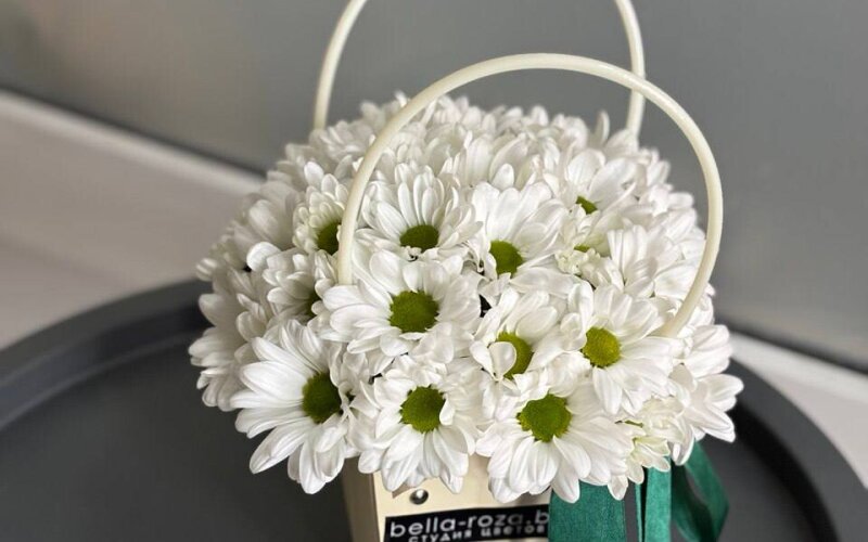 Сумочка из ромашковой хризантемы