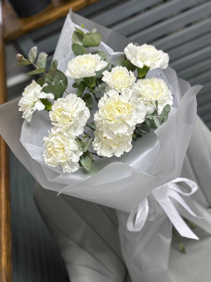 Белоснежное моно из диантусов