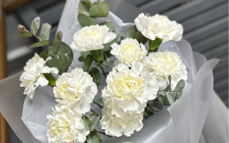 Белоснежное моно из диантусов