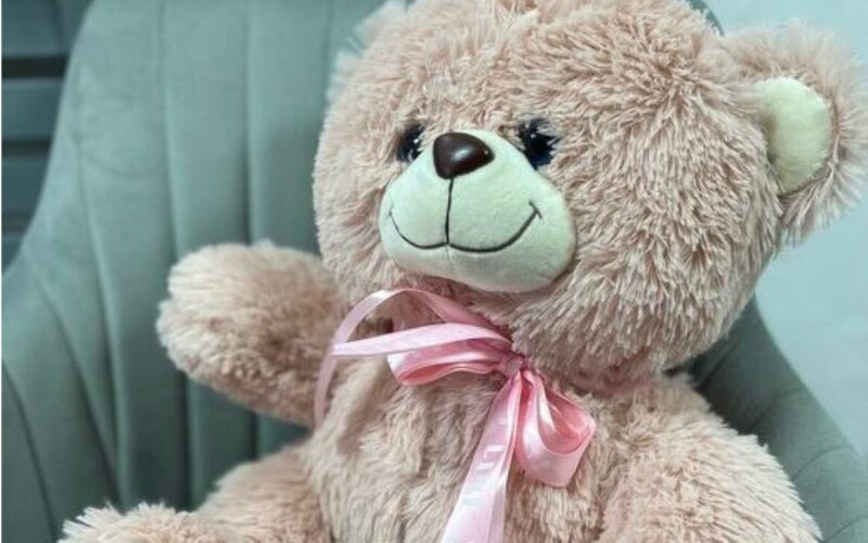 Розовый плюшевый медведь