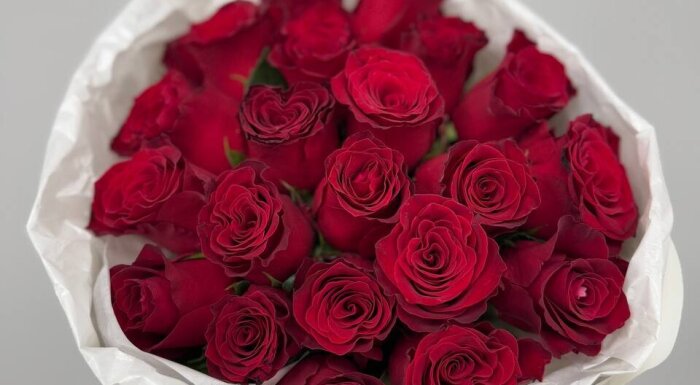 Цветы «Kaif.grodno»