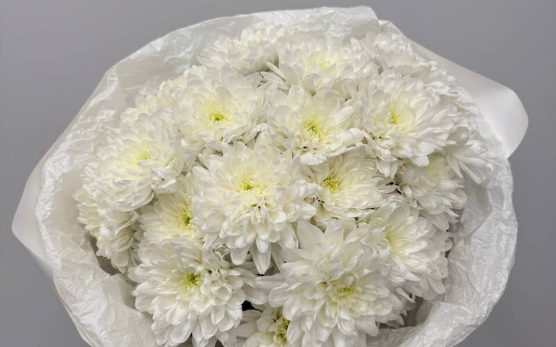 Букет из хризантем