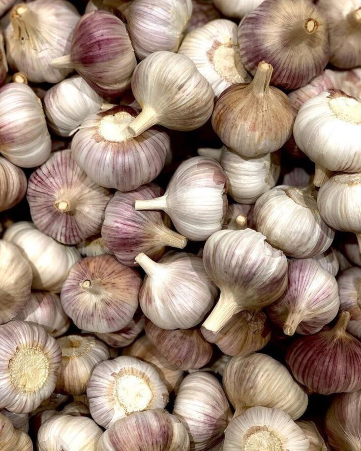 Чеснок