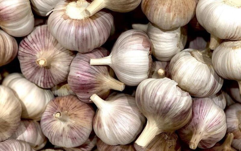 Чеснок