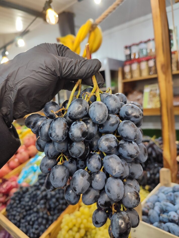 Виноград чёрный