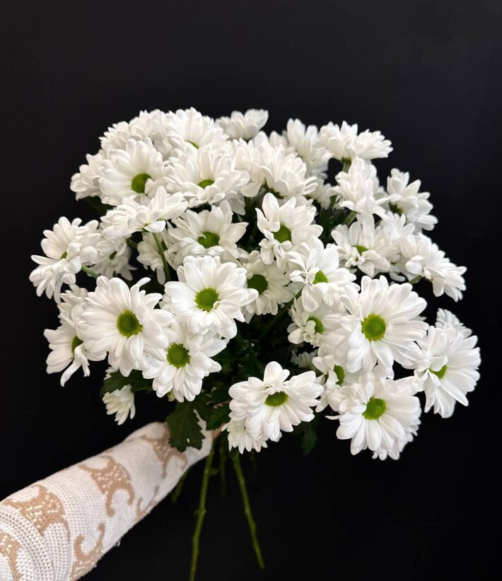 Букет из 7 веток хризантемы белой ромашковой