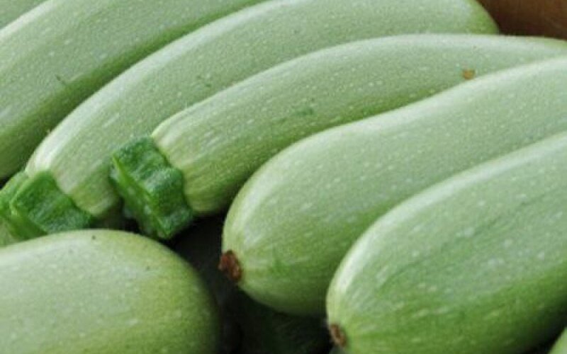 Кабачки и цуккини