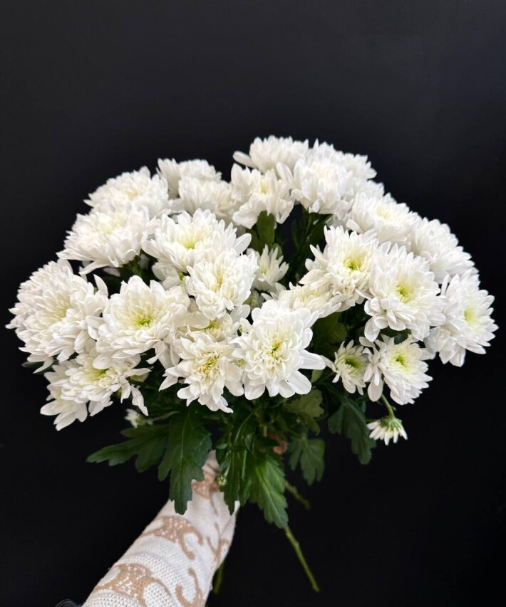 Букет из 7 веток белой хризантемы «Балтика»