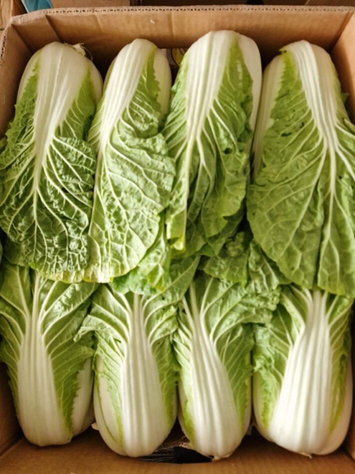 Пекинская капуста