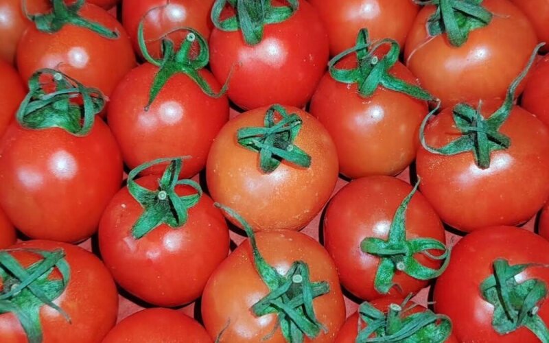 Томат черри красные