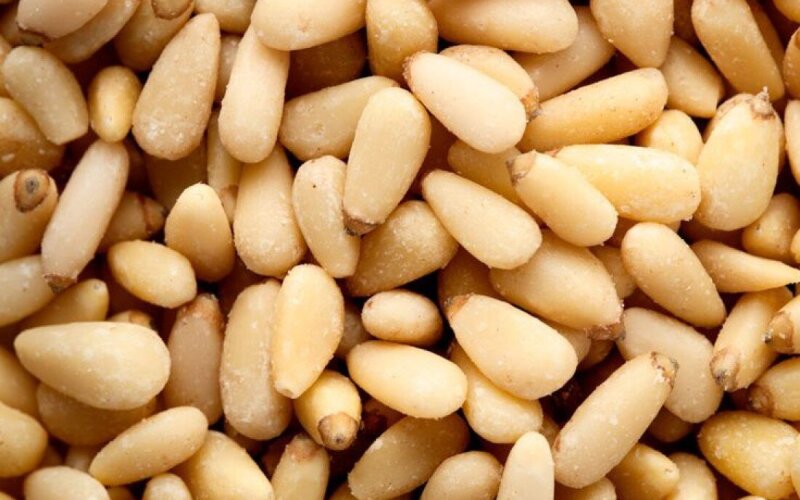 Кедровый орех