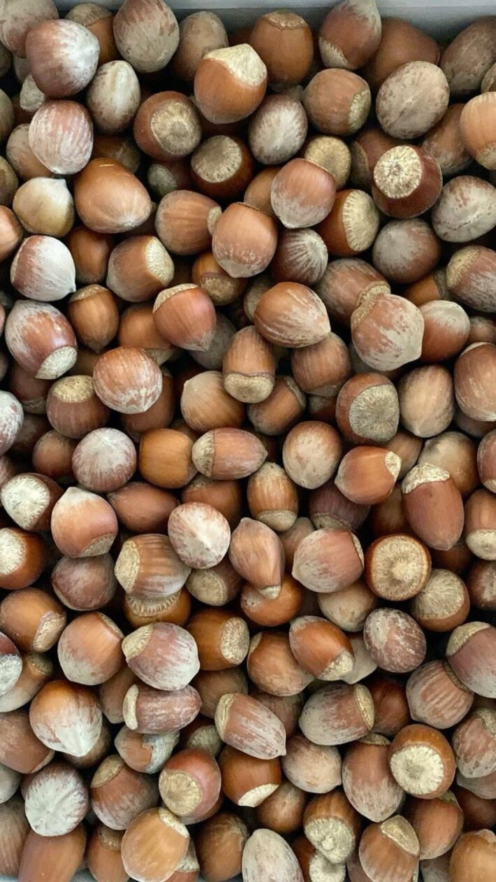 Фундук не чищ