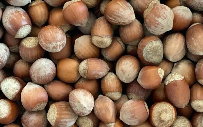 Фундук не чищ