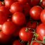 Томат черри красные