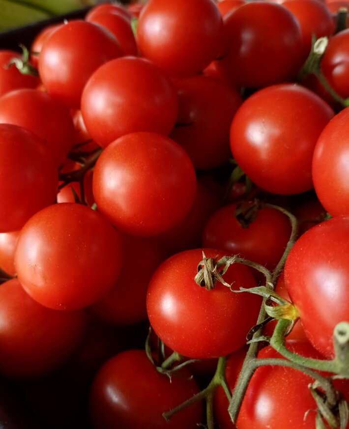 Томат черри Испания