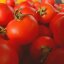 Томат икрам
