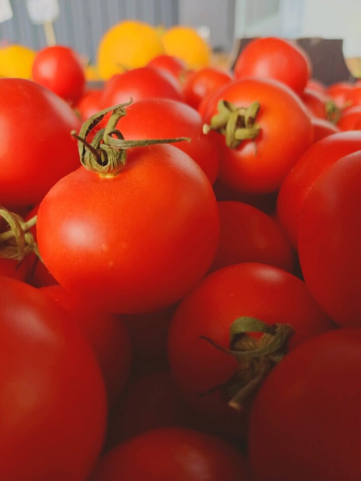 Томат икрам