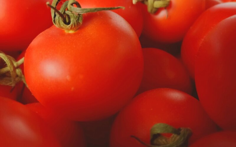 Томат икрам