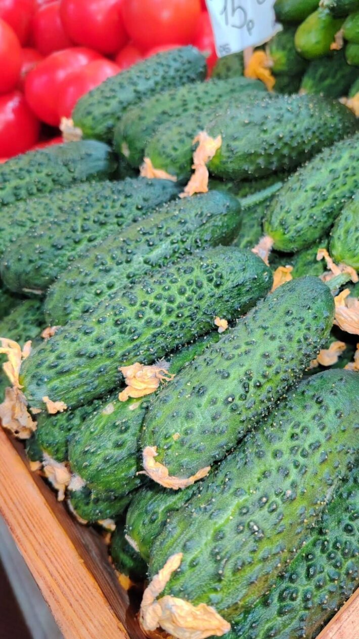 Огурец грунт