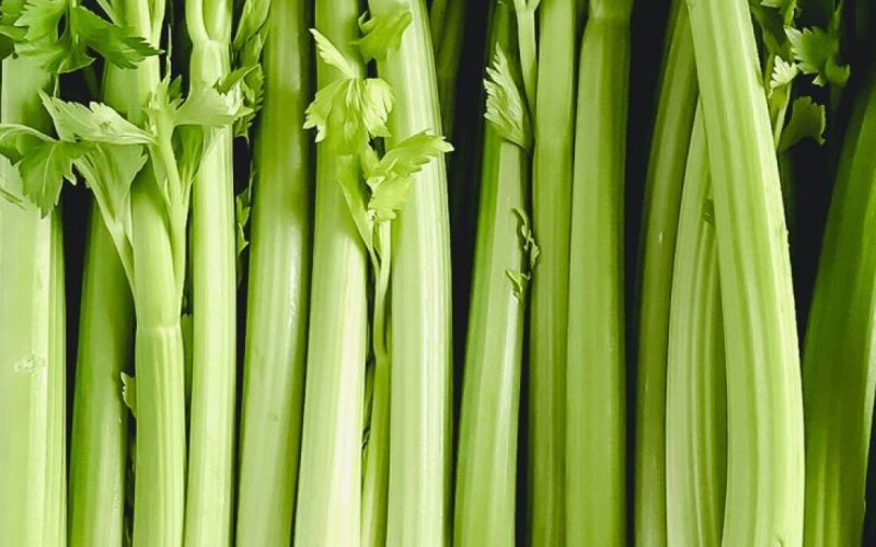 Сельдерея стебли