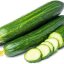 Огурец ( гладкий)