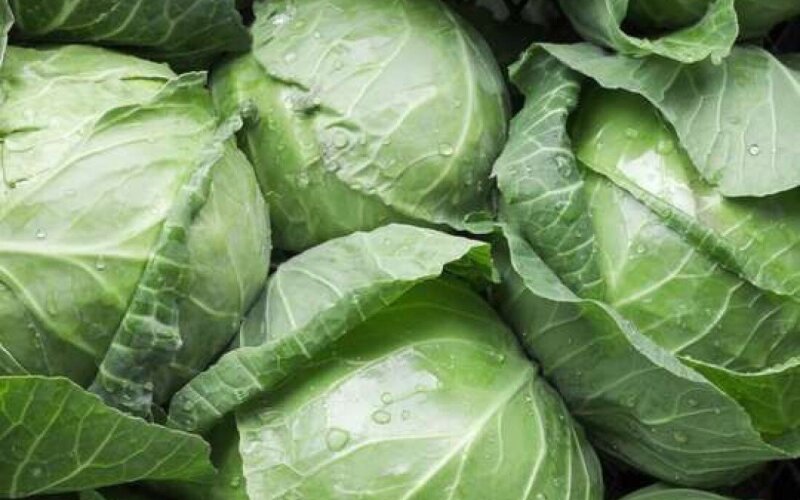 Капуста белокочанная