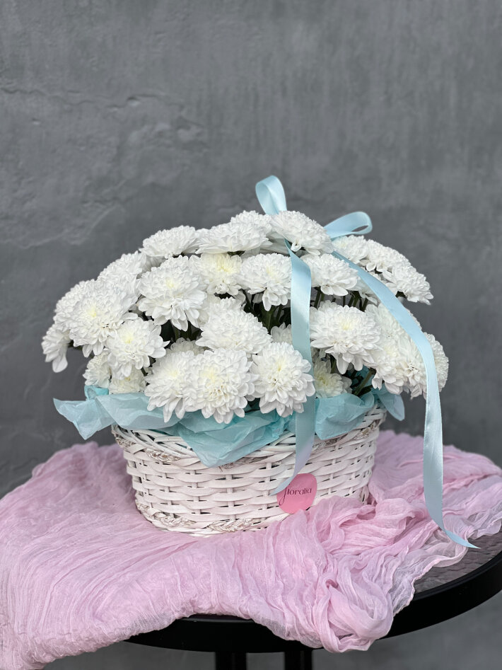 Кудряшка Сью